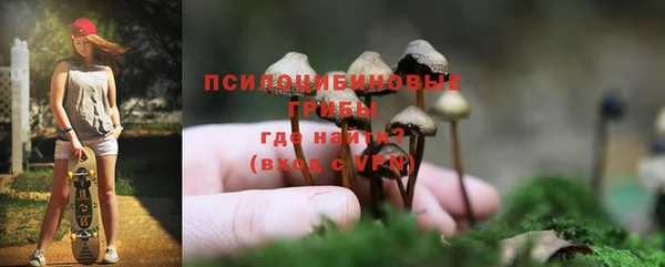 прущие грибы Гусев