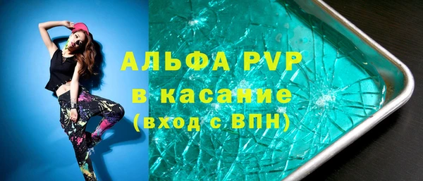 прущие грибы Гусев