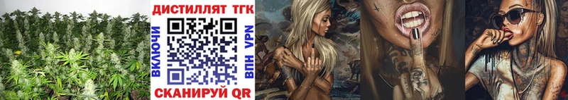 ТГК концентрат Пересвет